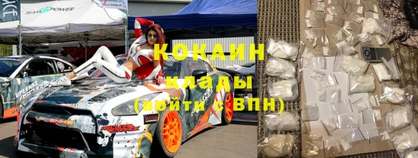 PSILOCYBIN Корсаков