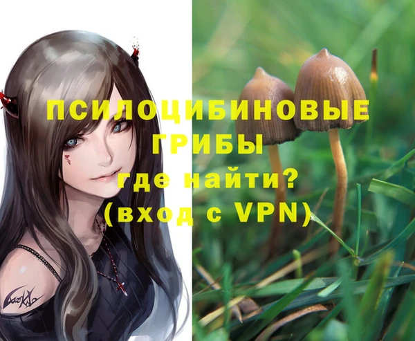 эйфоретик Коряжма