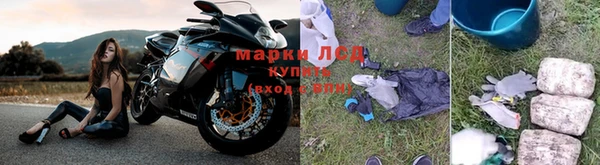 PSILOCYBIN Корсаков
